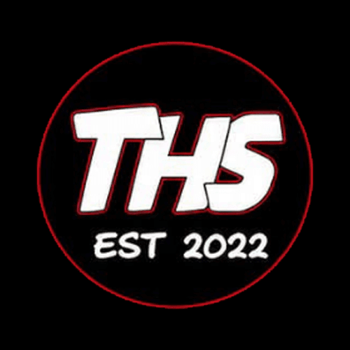 THS Mini-Z logo